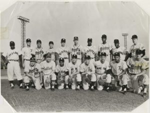 1960 Northern League All-Star Team