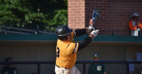 Oilmen Top Panthers to End Homestand on High Note